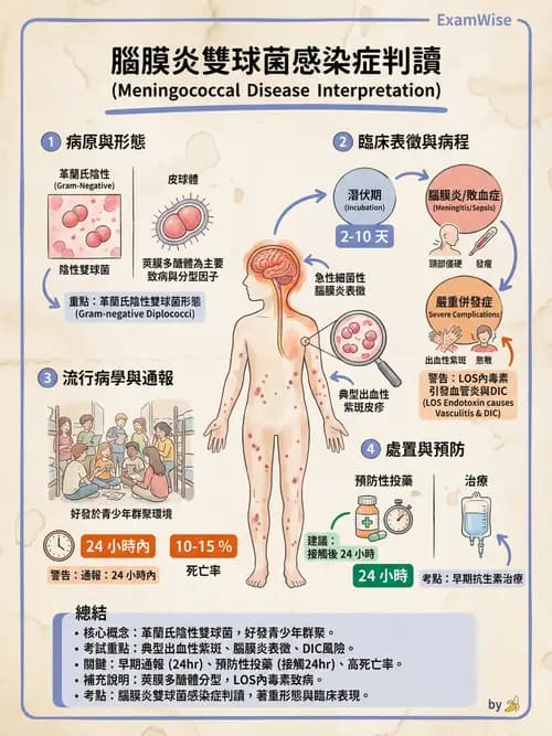 專師 - 中樞神經感染 - AI 圖文解析預覽