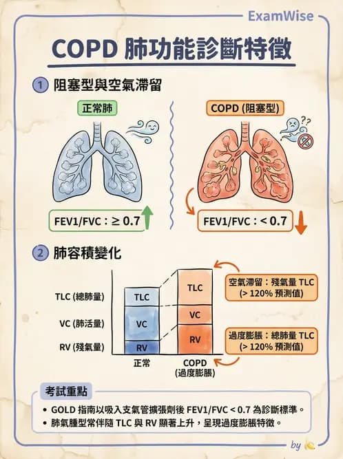 專師 - 阻塞性肺病 - AI 圖文解析預覽