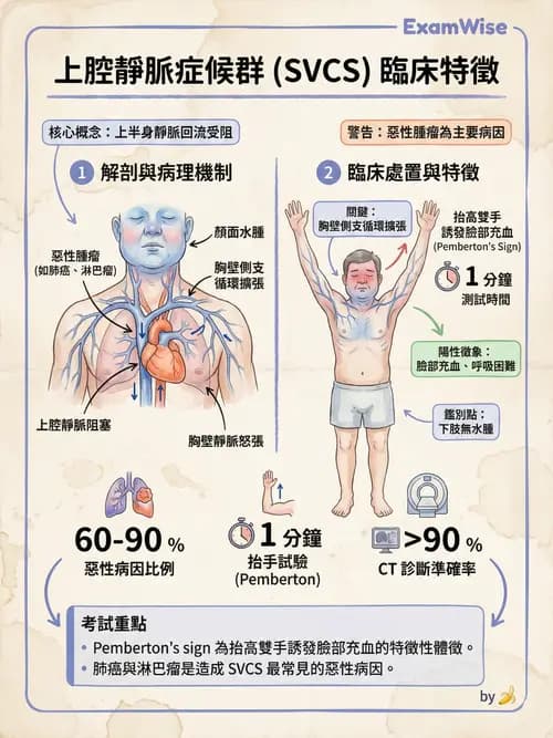 專師 - 腫瘤急症 - AI 圖文解析預覽