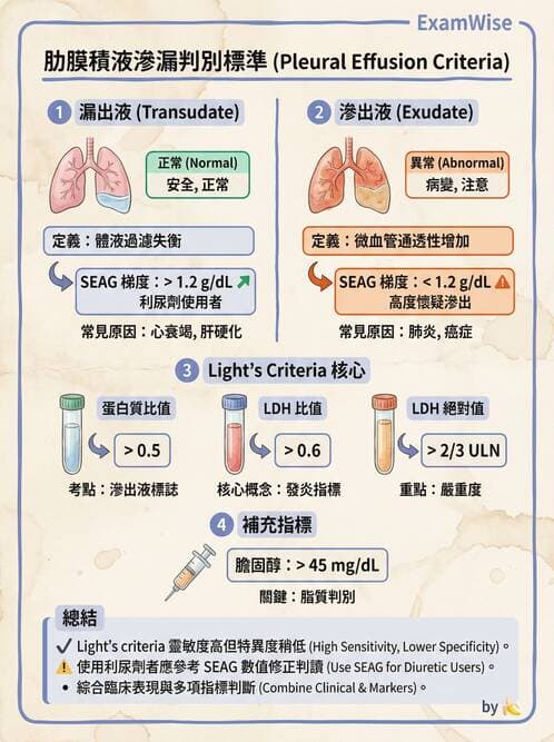 專師 - 肋膜疾病 - AI 圖文解析預覽
