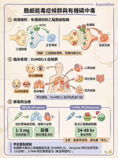 專師 - 中毒與重症照護 - AI 圖文解析預覽