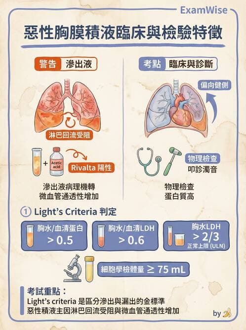 專師 - 乳癌與婦癌 - AI 圖文解析預覽