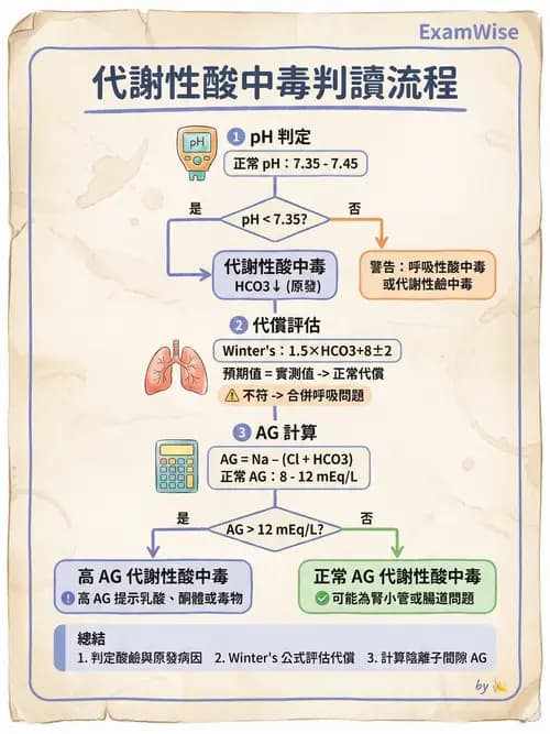 專師 - 酸鹼平衡 - AI 圖文解析預覽