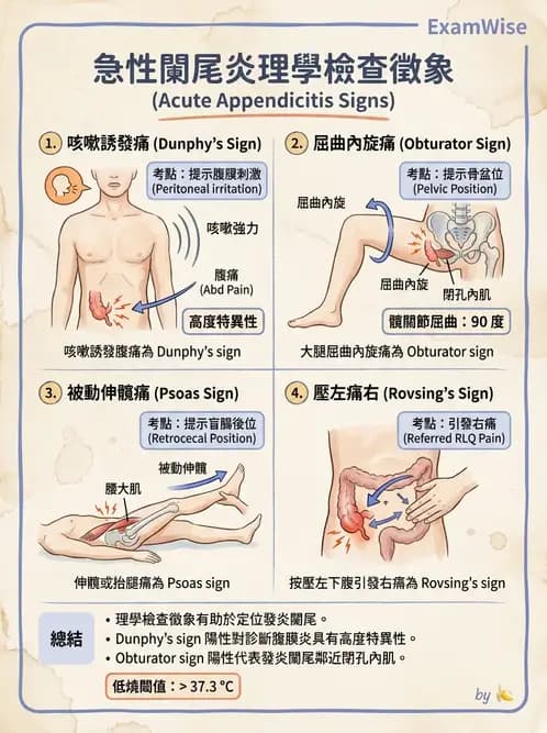 專師 - 腹部評估與急腹症 - AI 圖文解析預覽