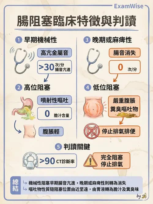 專師 - 闌尾炎與腸道外科 - AI 圖文解析預覽
