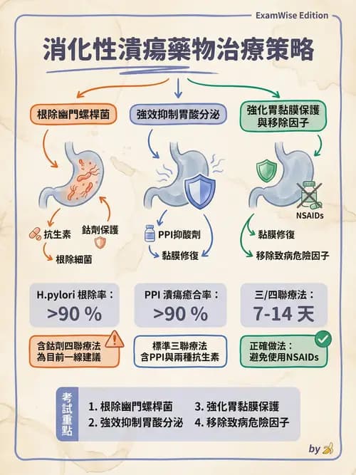 專師 - 上消化道與減重外科 - AI 圖文解析預覽