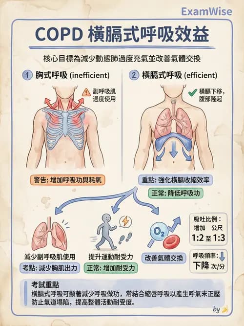 專師 - 阻塞性肺病 - AI 圖文解析預覽