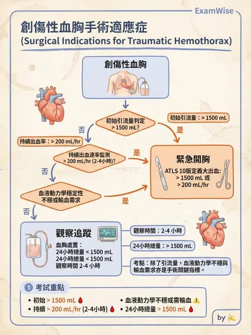 專師 - 胸腹部創傷 - AI 圖文解析預覽