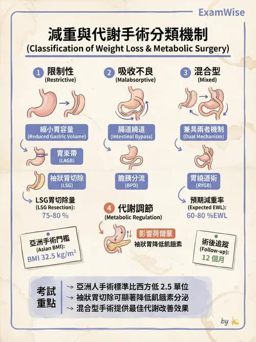 專師 - 上消化道與減重外科 - AI 圖文解析預覽