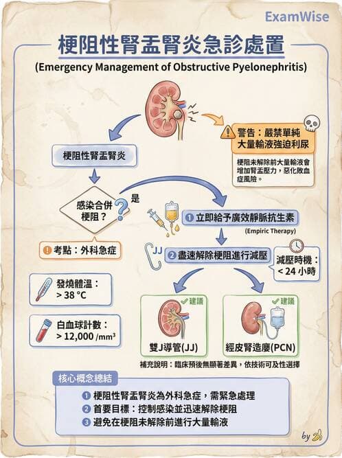 專師 - 泌尿道結石 - AI 圖文解析預覽