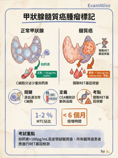 專師 - 甲狀腺疾病 - AI 圖文解析預覽