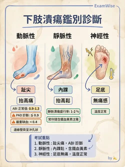 專師 - 周邊血管與靜脈疾病 - AI 圖文解析預覽