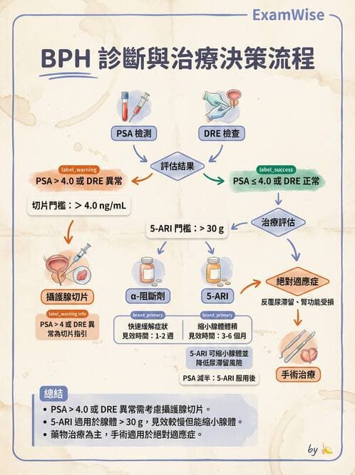 專師 - 攝護腺疾病 - AI 圖文解析預覽