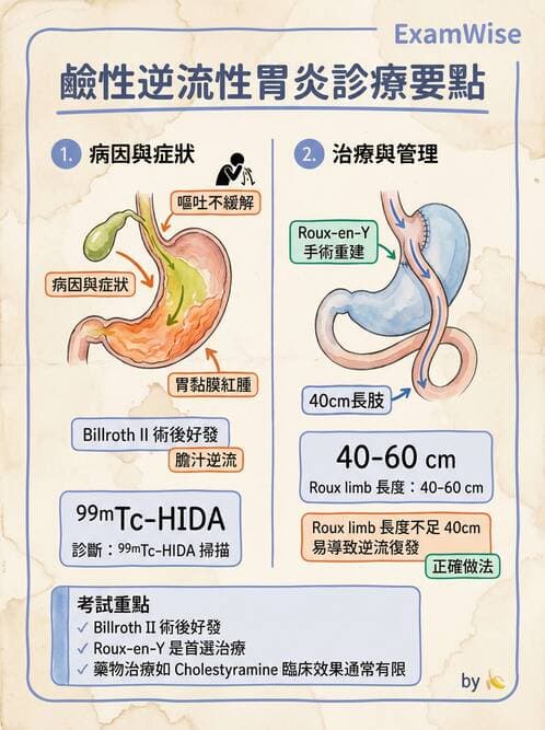 專師 - 上消化道與減重外科 - AI 圖文解析預覽