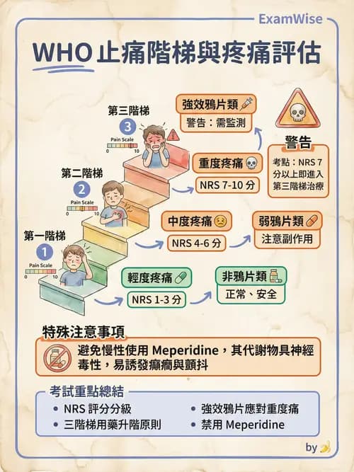 專師 - 術後疼痛控制 - AI 圖文解析預覽