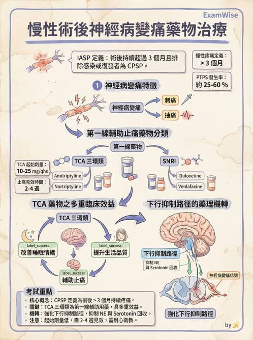 專師 - 術後疼痛控制 - AI 圖文解析預覽