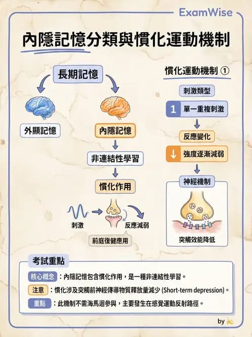 物治 - 動作學習 - AI 圖文解析預覽