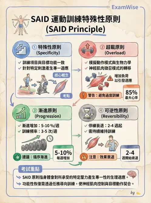 物治 - 動作學習 - AI 圖文解析預覽