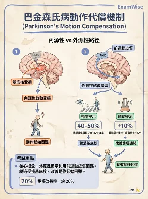 物治 - 巴金森氏病物理治療 - AI 圖文解析預覽