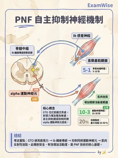 物治 - 神經治療學派技術 - AI 圖文解析預覽