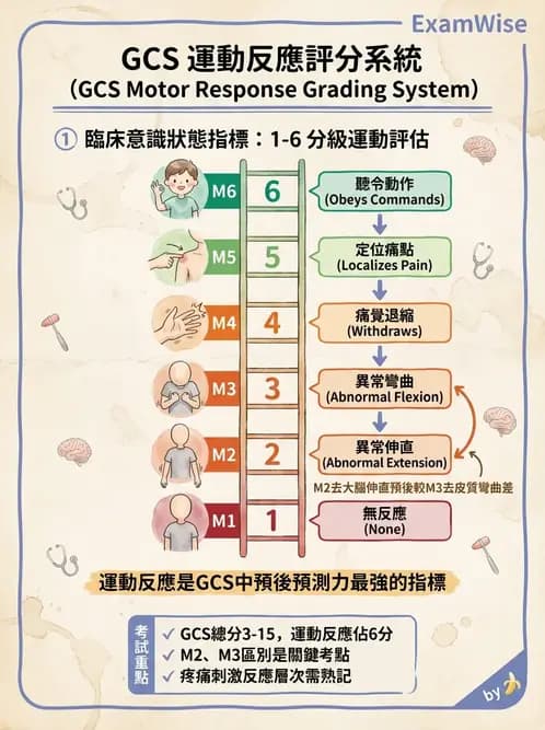 物治 - 神經物理治療評估工具 - AI 圖文解析預覽