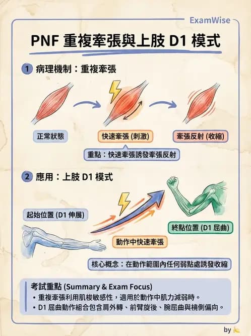 物治 - 腦中風治療手法應用 - AI 圖文解析預覽