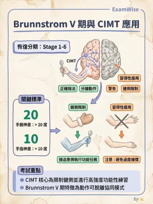 物治 - 腦中風上肢肩部與體適能 - AI 圖文解析預覽