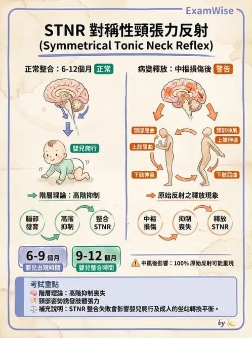 物治 - 腦中風治療手法應用 - AI 圖文解析預覽