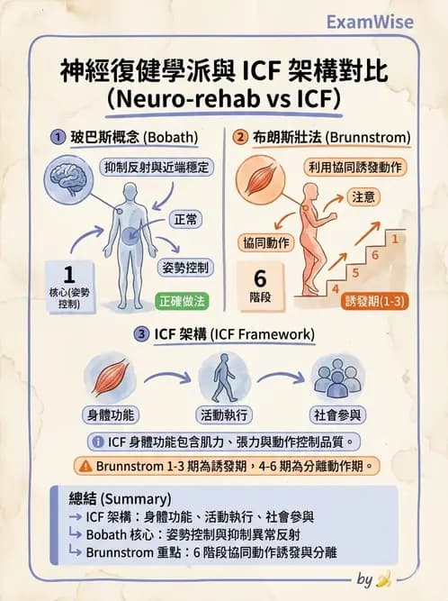 物治 - 神經治療學派技術 - AI 圖文解析預覽