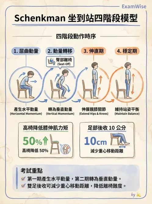 物治 - 腦中風姿勢控制平衡與轉位 - AI 圖文解析預覽