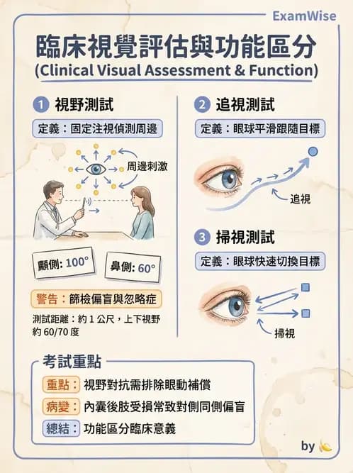 物治 - 腦中風感覺知覺與認知 - AI 圖文解析預覽