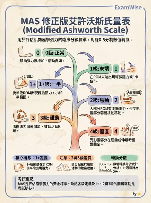 物治 - 神經物理治療評估工具 - AI 圖文解析預覽