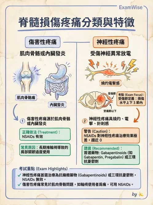 物治 - SCI併發症與呼吸管理 - AI 圖文解析預覽