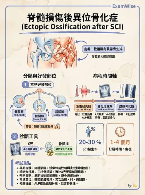 物治 - SCI併發症與呼吸管理 - AI 圖文解析預覽