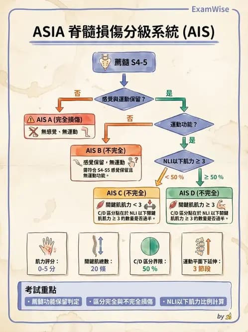 物治 - SCI評估分類與症候群 - AI 圖文解析預覽