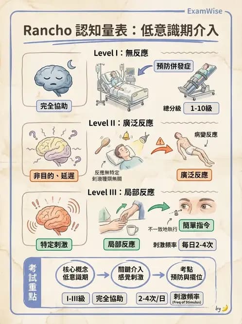 物治 - TBI LOCF分級與復健 - AI 圖文解析預覽