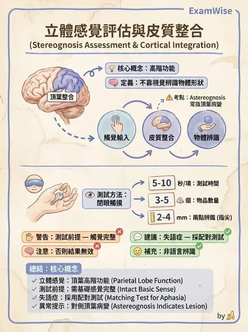 物治 - 神經物理治療評估工具 - AI 圖文解析預覽
