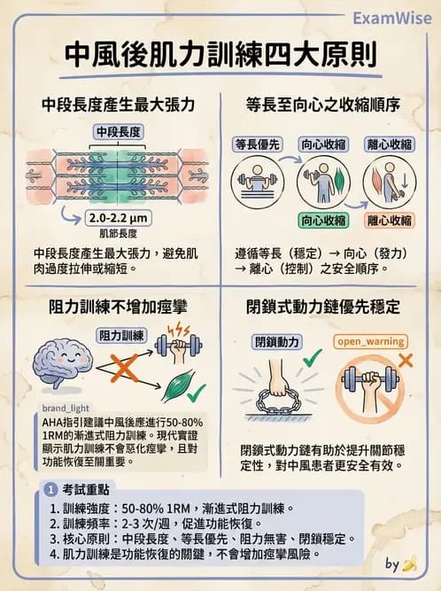 物治 - 腦中風上肢肩部與體適能 - AI 圖文解析預覽