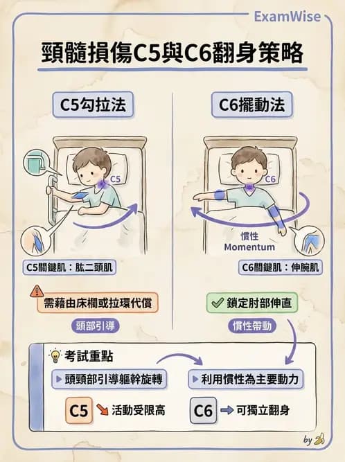 物治 - SCI功能預後與復健訓練 - AI 圖文解析預覽