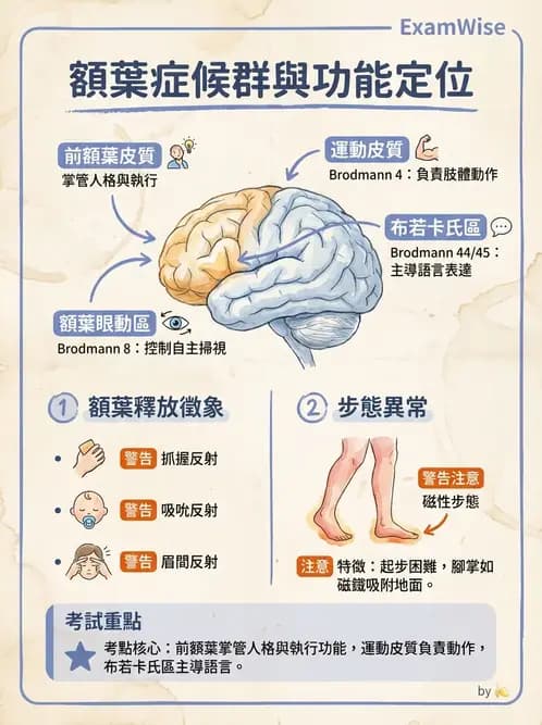 物治 - 運動神經元疾病與其他中樞疾病 - AI 圖文解析預覽