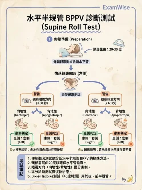 物治 - 前庭系統與前庭復健 - AI 圖文解析預覽