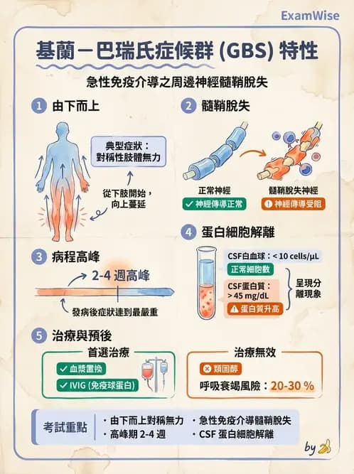 物治 - 神經肌肉疾病 - AI 圖文解析預覽