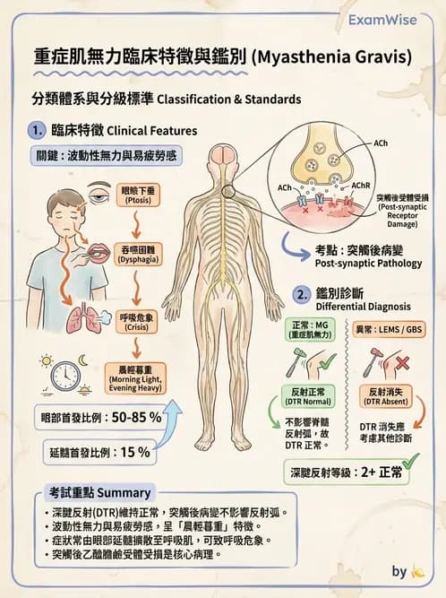 物治 - 神經肌肉疾病 - AI 圖文解析預覽