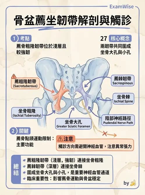 物治 - 薦髂關節評估與治療 - AI 圖文解析預覽
