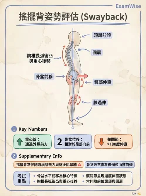 物治 - 姿勢 - AI 圖文解析預覽