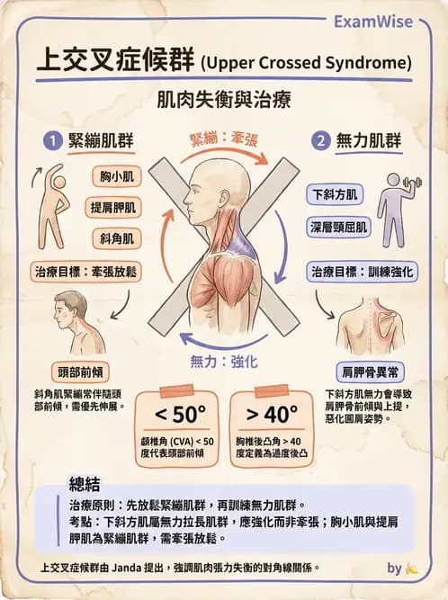 物治 - 姿勢 - AI 圖文解析預覽