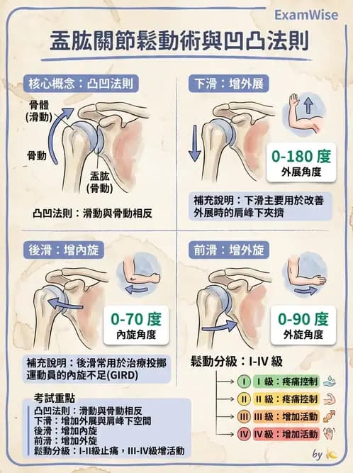 物治 - 肩胛生物力學與神經損傷 - AI 圖文解析預覽