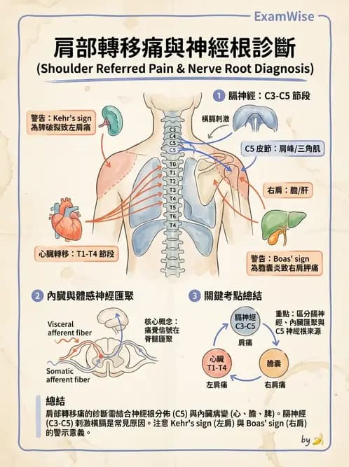 物治 - 初級照護與鑑別診斷 - AI 圖文解析預覽