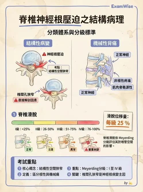 物治 - 腰椎椎間盤與脊椎狹窄 - AI 圖文解析預覽