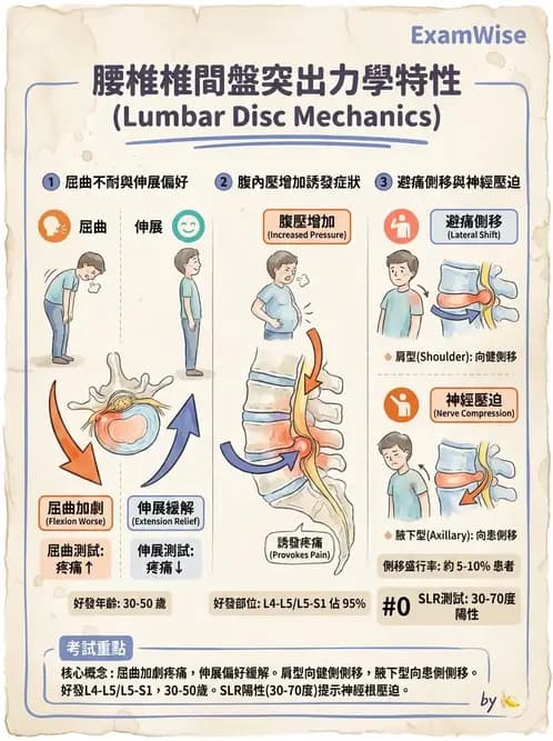 物治 - 腰椎椎間盤與脊椎狹窄 - AI 圖文解析預覽